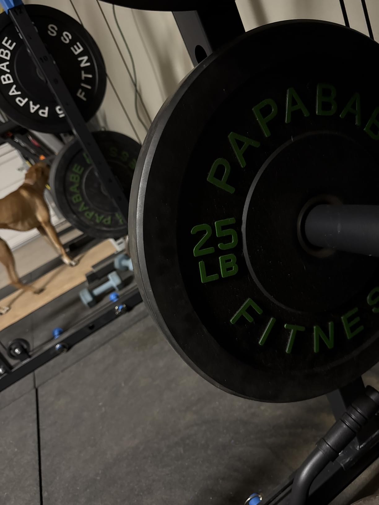 Papababe Weight Plates, 2-Inch Weights Plates Set, Floor Protective Rubber Weight Plates customer photo 1