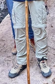 adidas Men's Terrex Anylander Mid Top Rain.Rdy Hiking Shoes customer photo 2