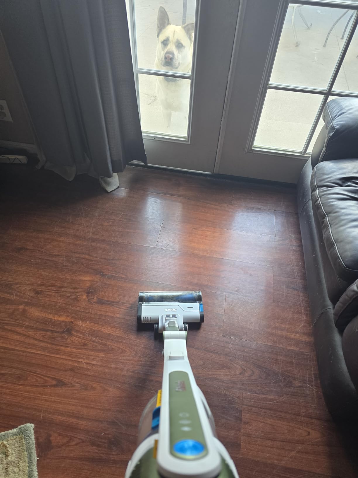 Shark PowerPro Flex Pet Plus Cordless Vacuum (IZ387H) customer photo 1
