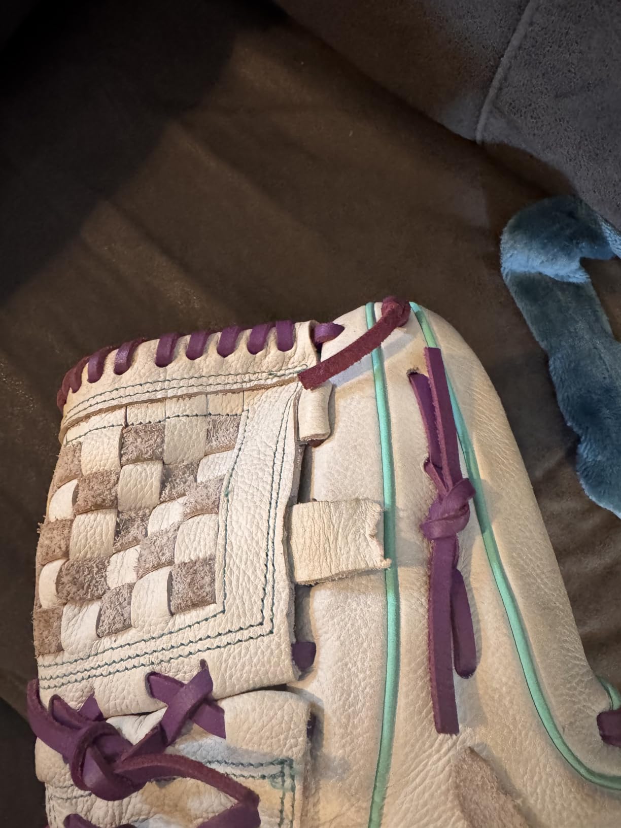 Wilson 2026 A500 Siren Fastpitch Softball Gloves customer photo 1