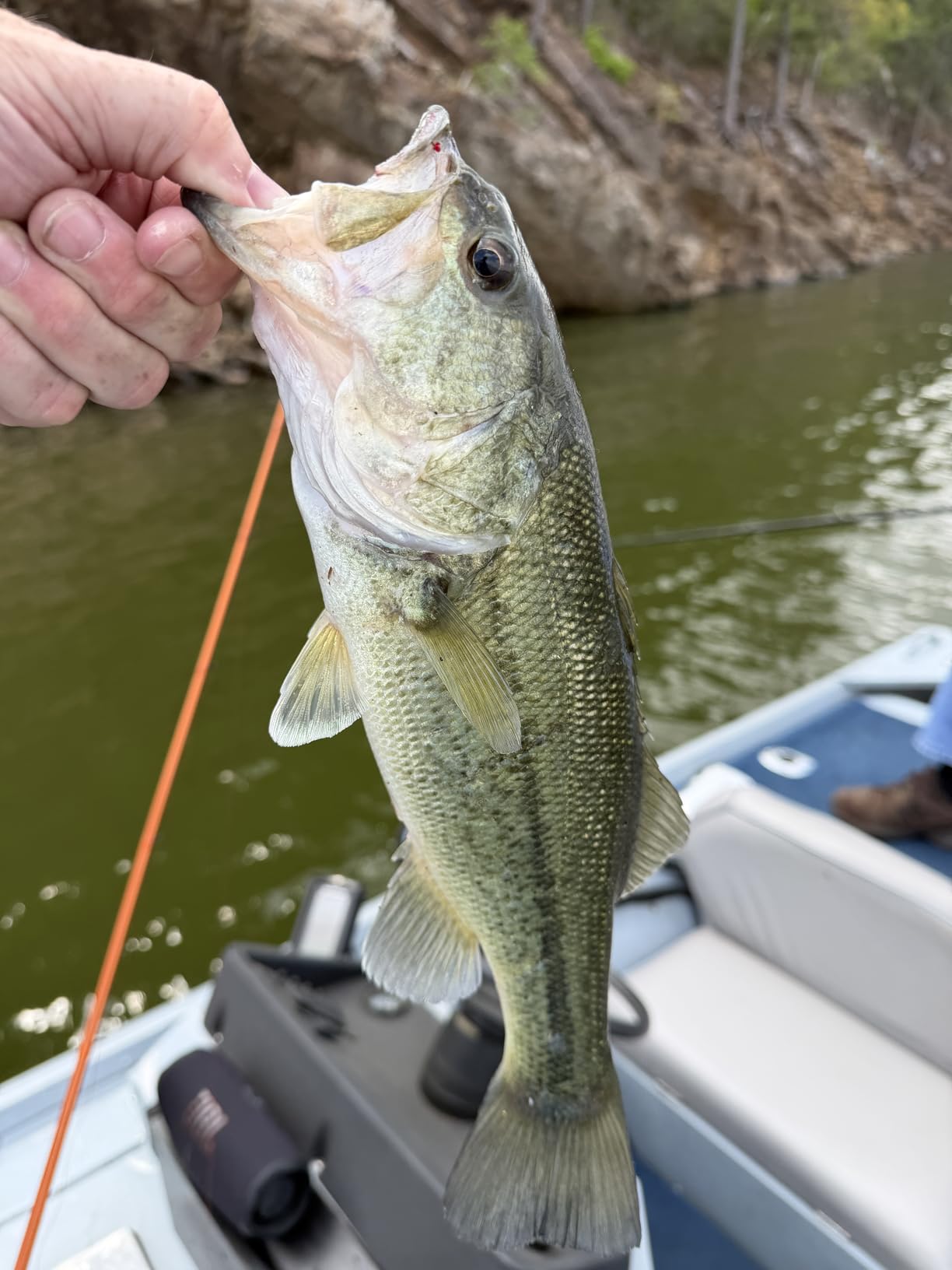 KastKing Lethal Blaze Baitcasting Fishing Reel, 7.3:1 High-Speed Gear Ratio, Low-Profile Baitcaster, Lightweight Glass Fiber-Infused Nylon Frame, Freshwater & Inshore Bass Fishing Reel customer photo 1