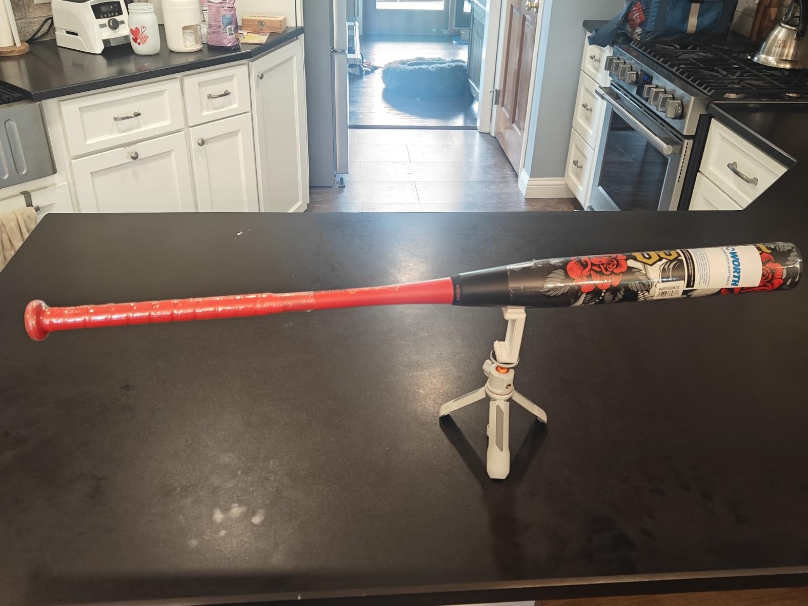 Worth Josh Riley Bedlam XXL Slowpitch Softball Bat | USSSA | XXL Endload | 2 Pc. Composite | 12