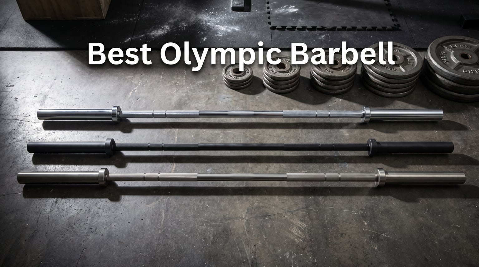 8 Best Olympic Barbells (August 2026) Tested & Reviewed