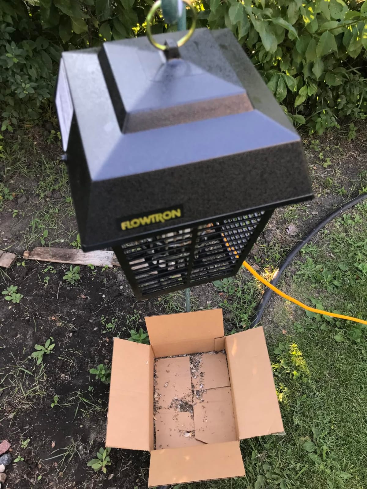 Flowtron Electric Bug Zapper, 1/2 Acre Outdoor, 15W UV, 5600V Zap, Black | Protects yards, patios, and decks - octenol lure attracts and helps eliminate mosquitoes, flies, and gnats - UL listed customer photo 2