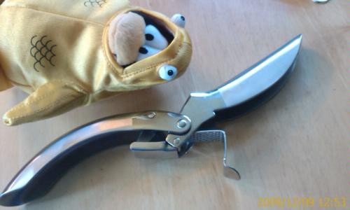 Kuhn Rikon Epicurean Garlic Press, Stainless Steel, 6.5 x 1 x 1.5 inches, Silver customer photo 2