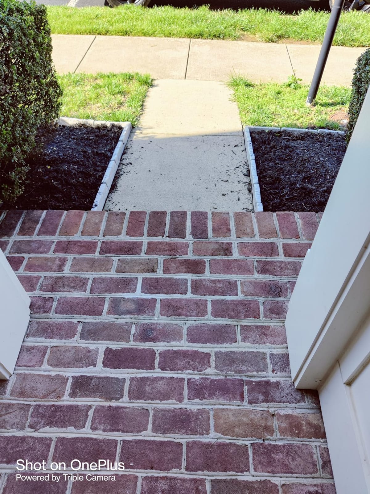 Suncast BSE10TG Edging, Borderstone, 10 Pack customer photo 2