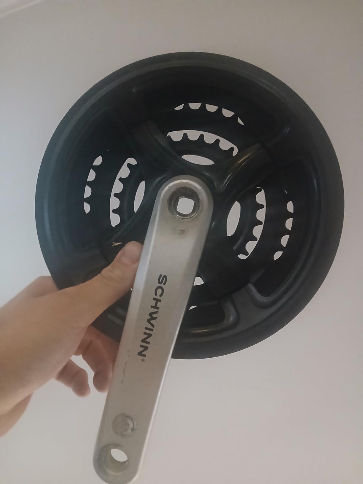 Schwinn Discover customer photo 1