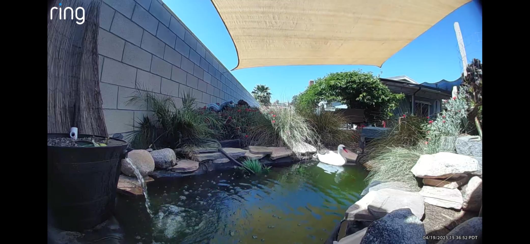 Tetra Pond GreenFree UV Clarifier UVC-5 for Clean & Clear Ponds | For Ponds Up To 660 Gallons customer photo 1