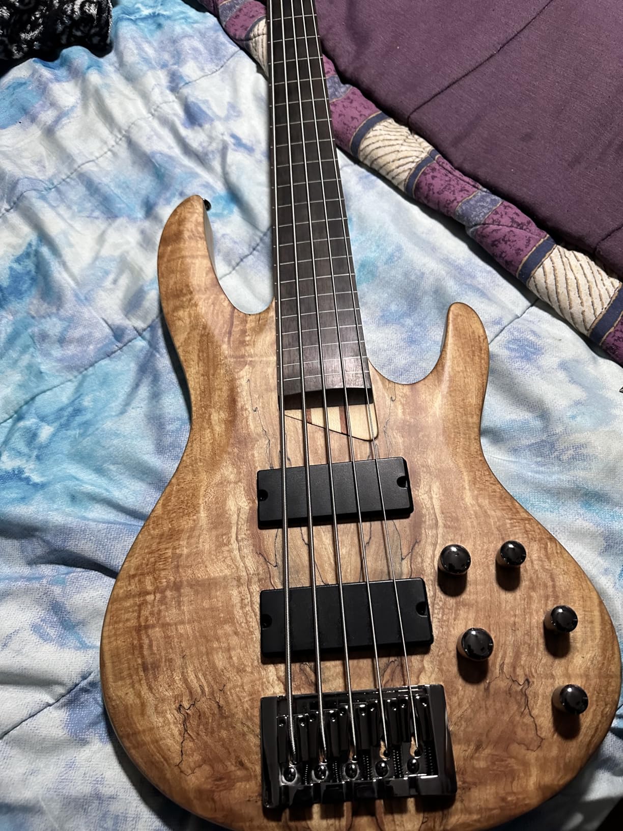ESP LTD B-205 5-string Bass Guitar - Natural Satin customer photo 1