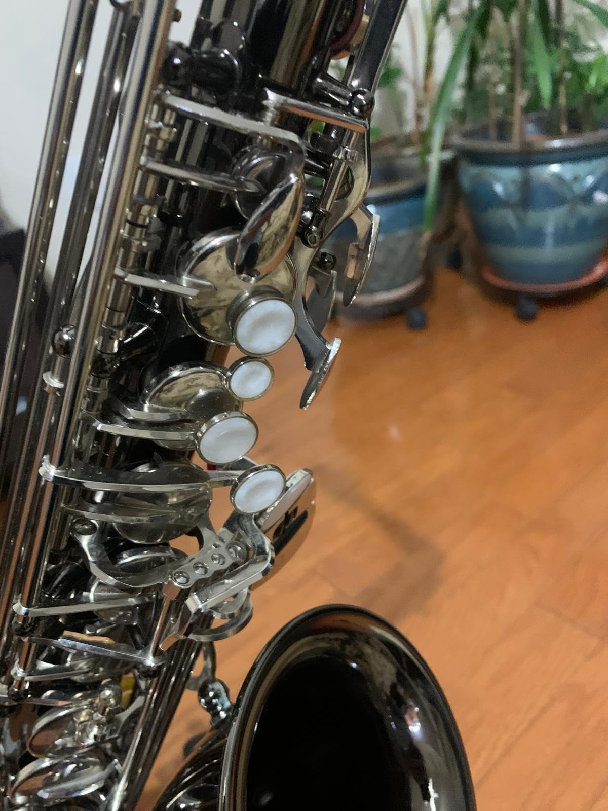 Mendini By Cecilio Eb Alto Saxophone Kit for Beginner - Black Silver customer photo 1