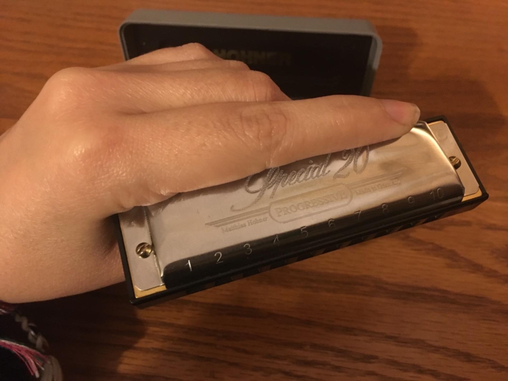 Hohner Special 20 Diatonic Harmonica, C-major - Professional, Responsive Reeds, Injection Molded Plastic Comb with Projecting Mouthpiece customer photo 1