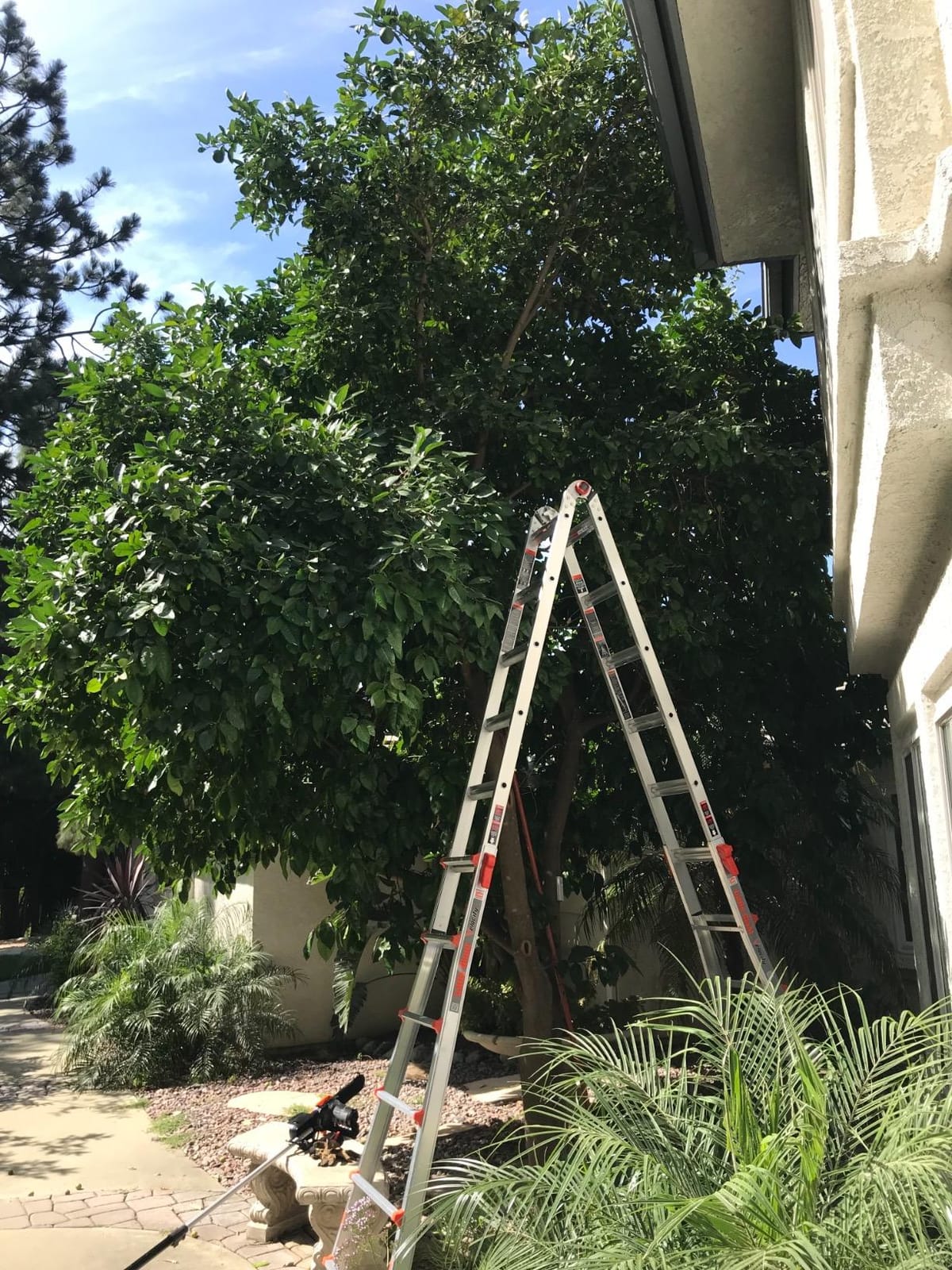 Little Giant Velocity, Aluminum Ladder, 18 ft Reach, Multi-Position customer photo 1