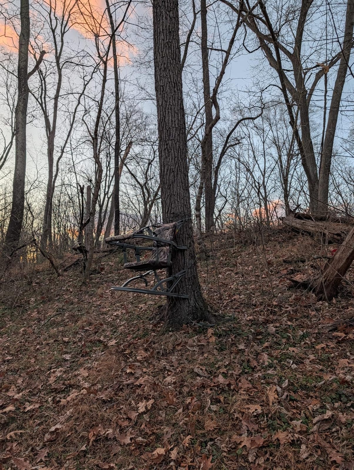 Summit Treestands Viper SD Climbing Treestand, Choose Camo customer photo 2