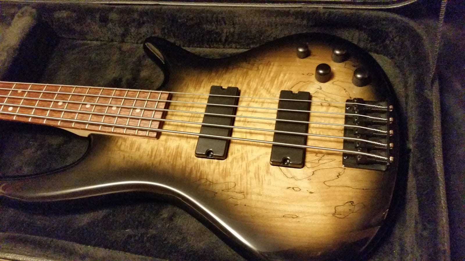 Ibanez GSR205SMNGT 5-String Bass Guitar - Spalted Maple Top Natural Grey Burst customer photo 2