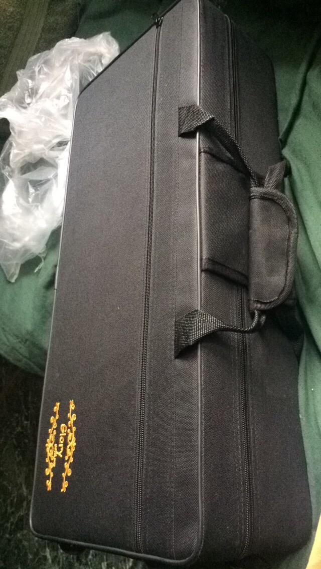Glory Gold Laquer E Flat Alto Saxophone with 11reeds,8 Pads cushions,case,carekit customer photo 1