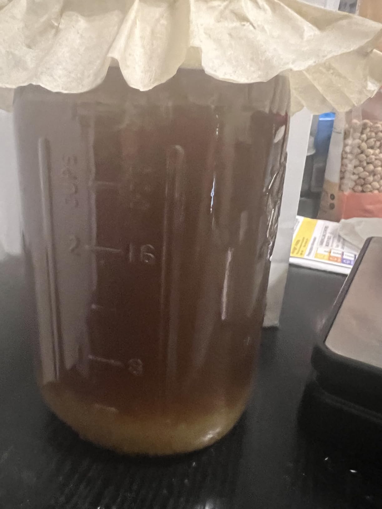 One LARGE PORTION Cup Live Florida Sun Kefir LARGE Water Kefir Grains (Tibicos) Natural Probiotics customer photo 1