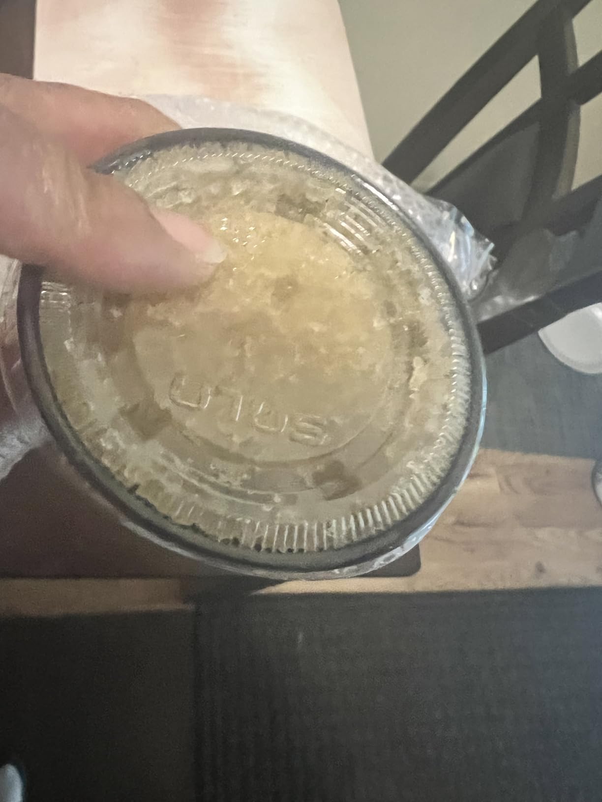 One LARGE PORTION Cup Live Florida Sun Kefir LARGE Water Kefir Grains (Tibicos) Natural Probiotics customer photo 2