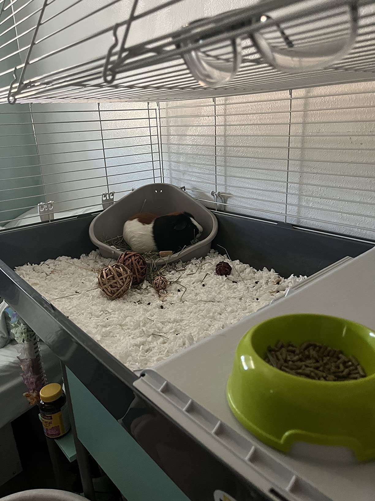 Ferplast Cavie Guinea Pig Cage & Rabbit Cage | Pet Cage Includes All Accessories to Get You Started & a 1-Year Warranty customer photo 1