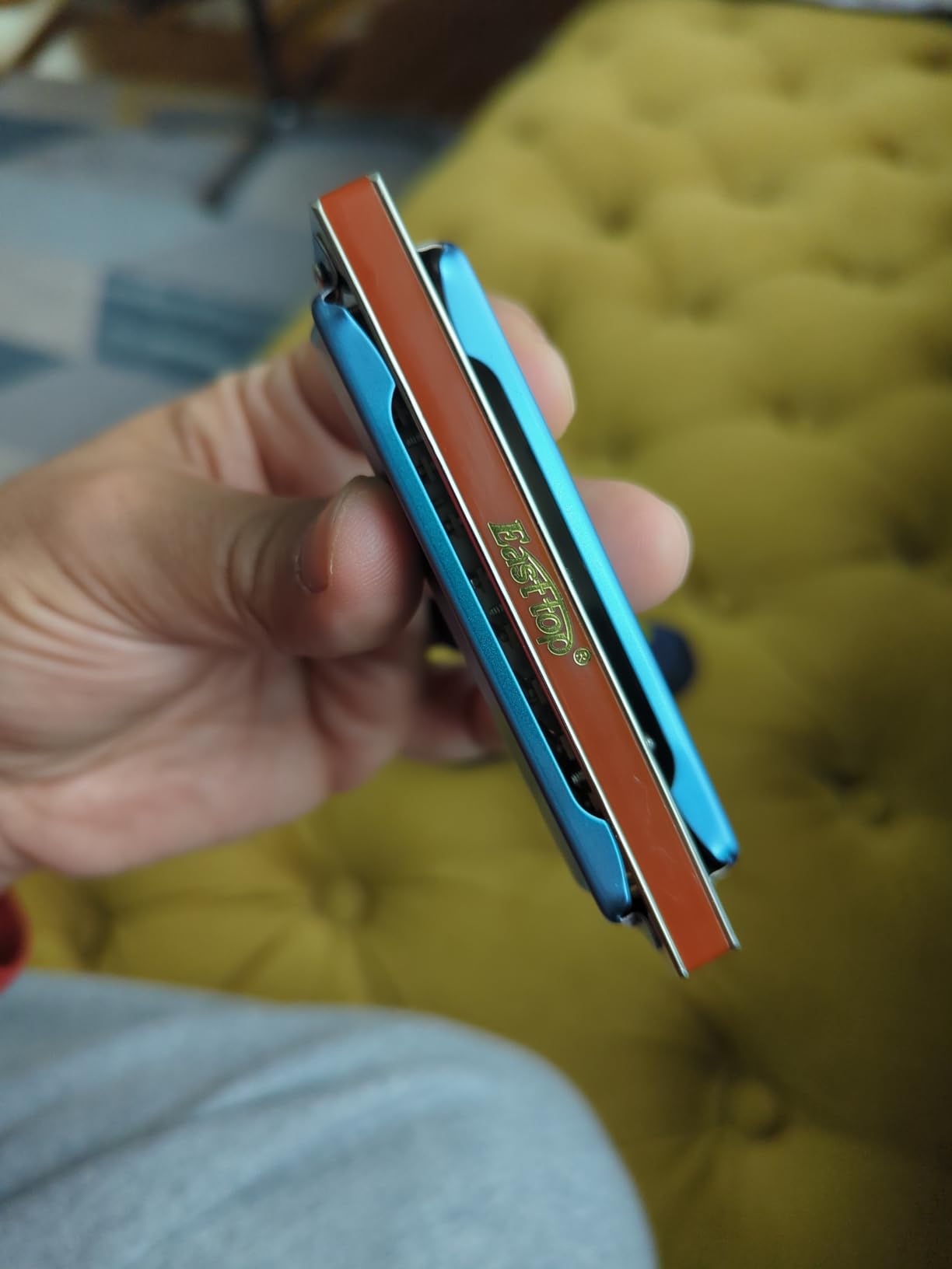 East top Harmonica Key of C, 10 Holes 008K Diatonic Mouth Organ with Blue Case customer photo 2