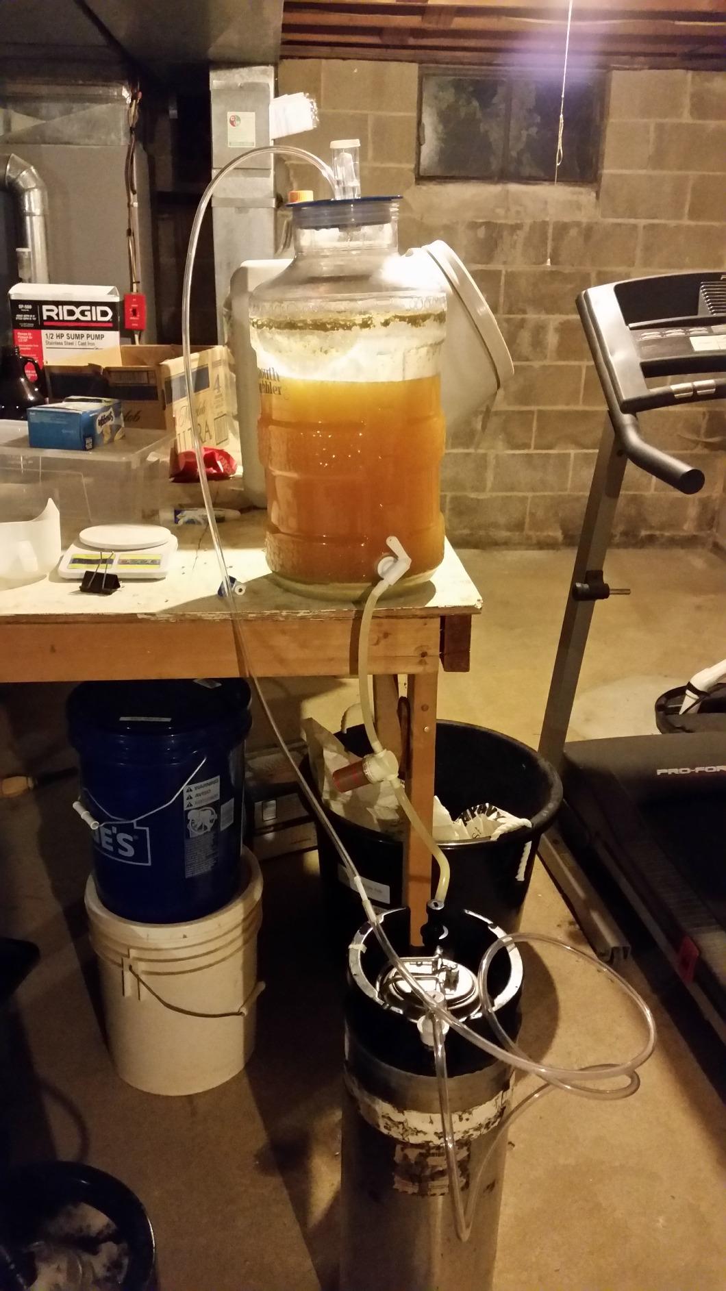 Bouncer inline beer filter (Classic) customer photo 1