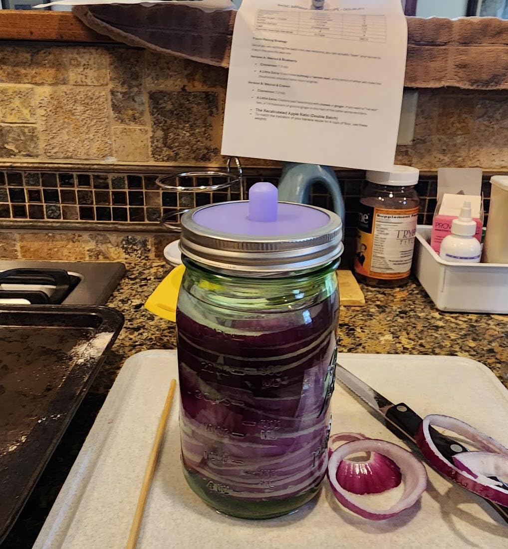 Masontops Pickle Pipes - Airlock Fermentation Lids - Fermentation Kit For Wide Mouth Mason Jar Sauerkraut & Pickle Kit - Fermentation Jar Not Included customer photo 2