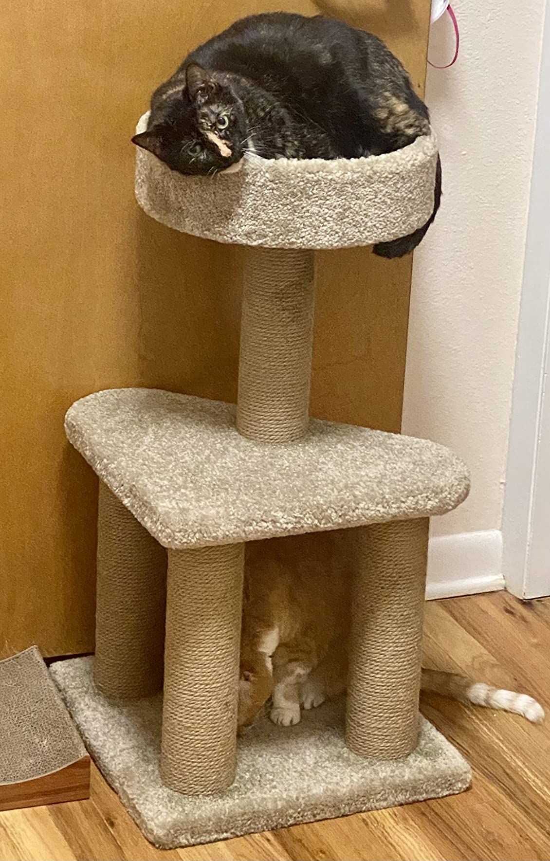 Amazon Basics Cat Tree Tower - Multi-Level Climbing Activity Center for Indoor Cats & Kittens with Scratching Posts, Platform, Jute Rope, Large (45.9