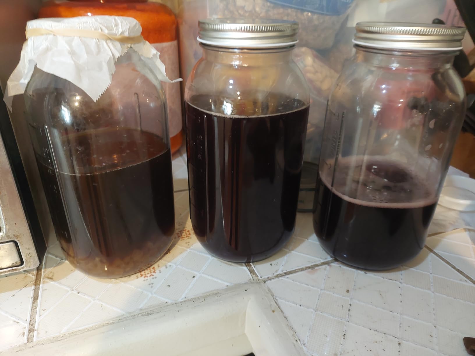 Yemoos Dried Authentic Water Kefir Grains customer photo 1