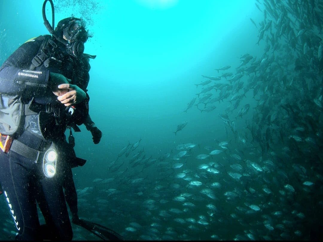 Cressi Adult Scuba Diving Mask, Fog Stop, Low Volume, Wide View - Calibro: made in Italy customer photo 2