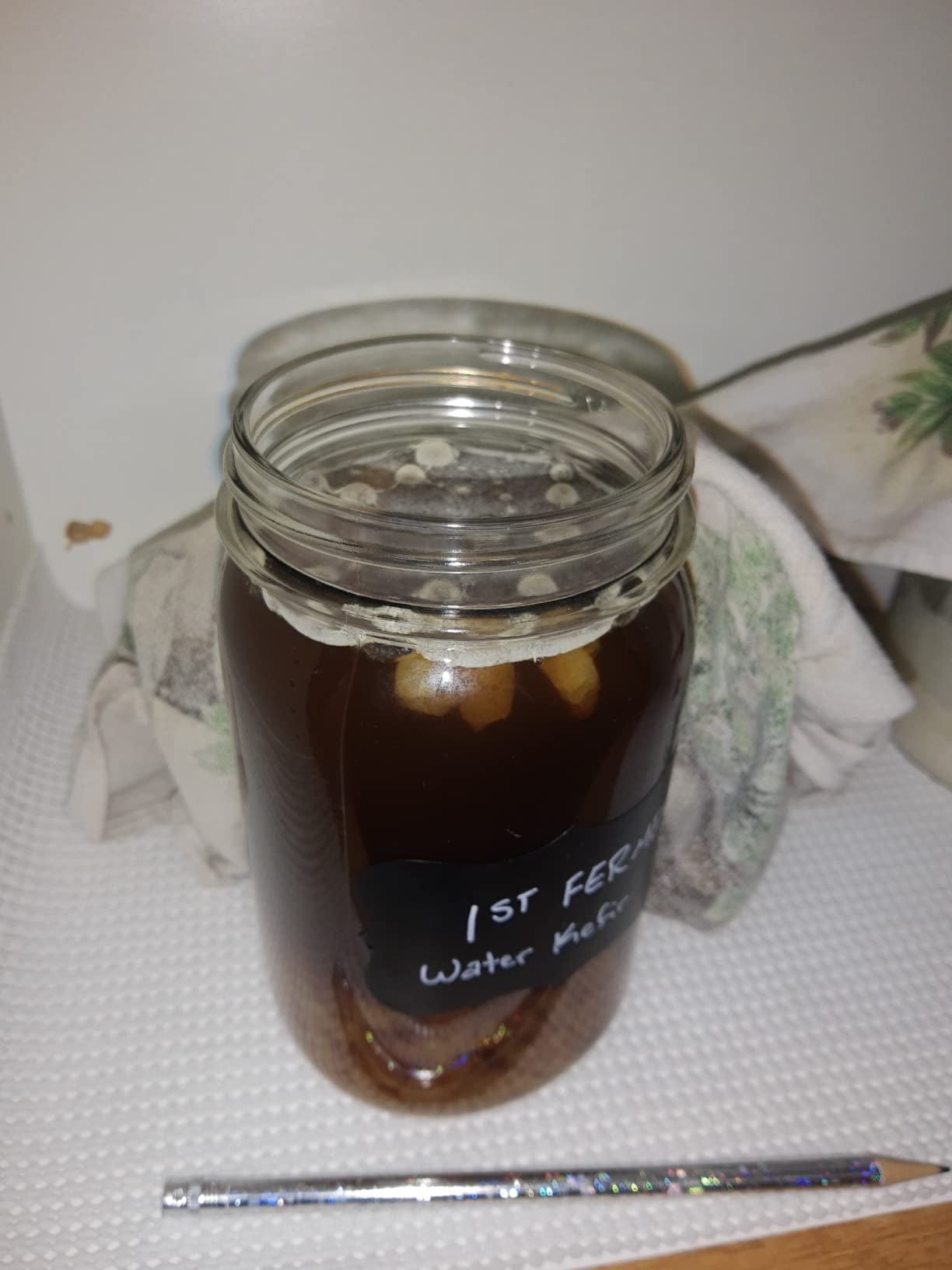 One SEALED Glass Jar HALF Cup Original Florida Sun Kefir Live Water Kefir Grains customer photo 2
