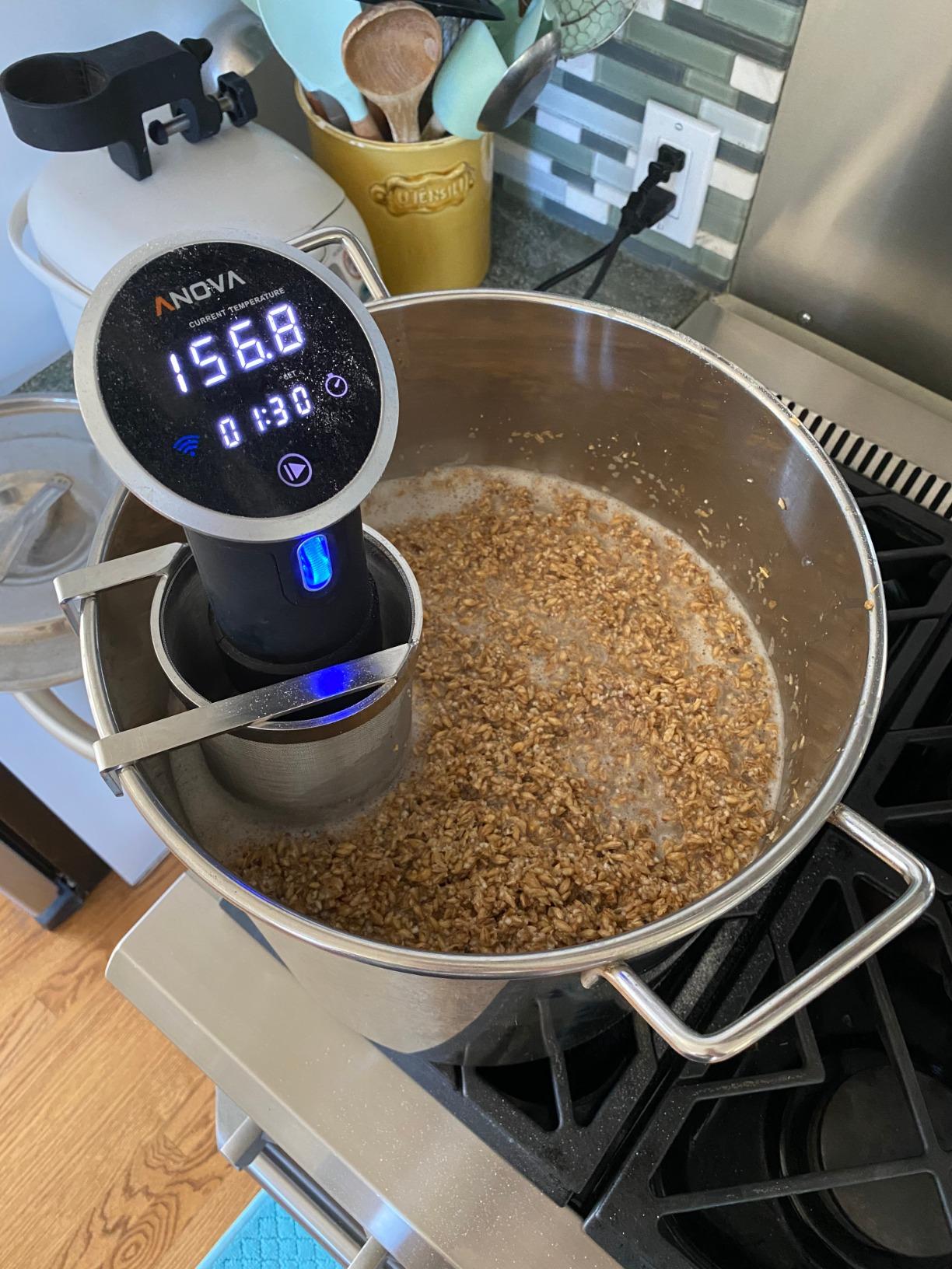 Hop Spider 300 Micron Mesh Stainless Steel Hop Filter Strainer for Home Beer Brewing Kettle customer photo 1