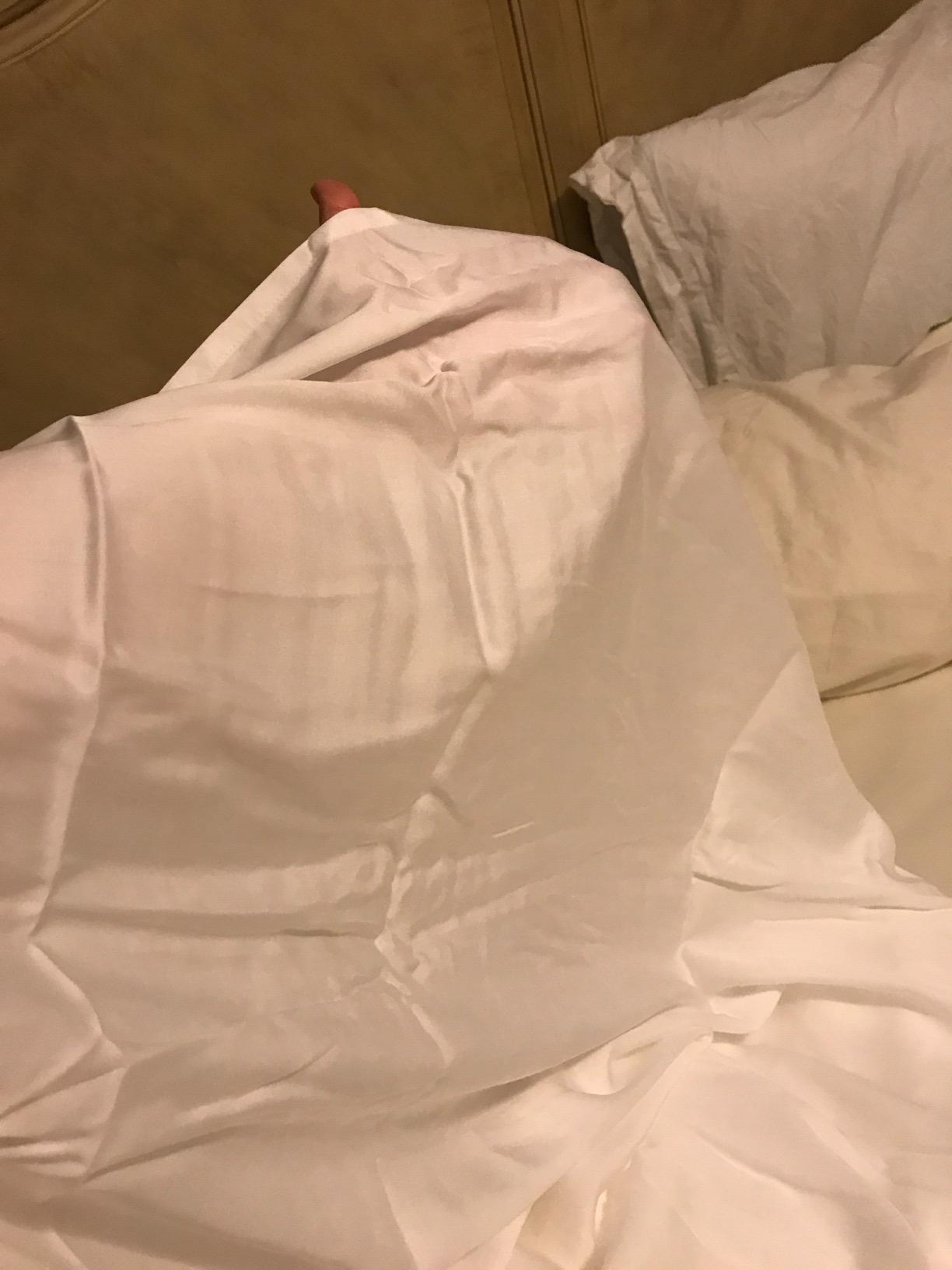 Hotel Sheets Direct 4 Piece Bed Sheet Set Queen Size, 100% Viscose Derived from Bamboo Sheets Set with 2 Pillowcases, Cooling & Breathable Luxury Bedding, Moisture-Wicking & Silky Soft Texture, Sand customer photo 1