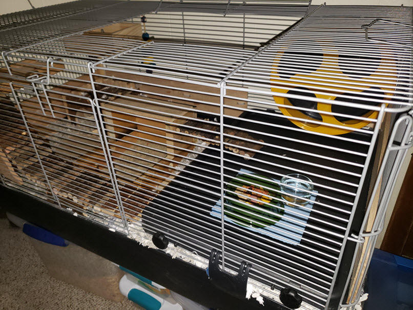 Prevue Pet Products Universal Small Animal Home for Indoor Use - Gray | Small Animal Cage for Hamsters, Guinea Pigs, Ferrets, Dwarf Rabbits, Rats, Chinchillas, & Hedgehogs, Tight Wire Spacing customer photo 1