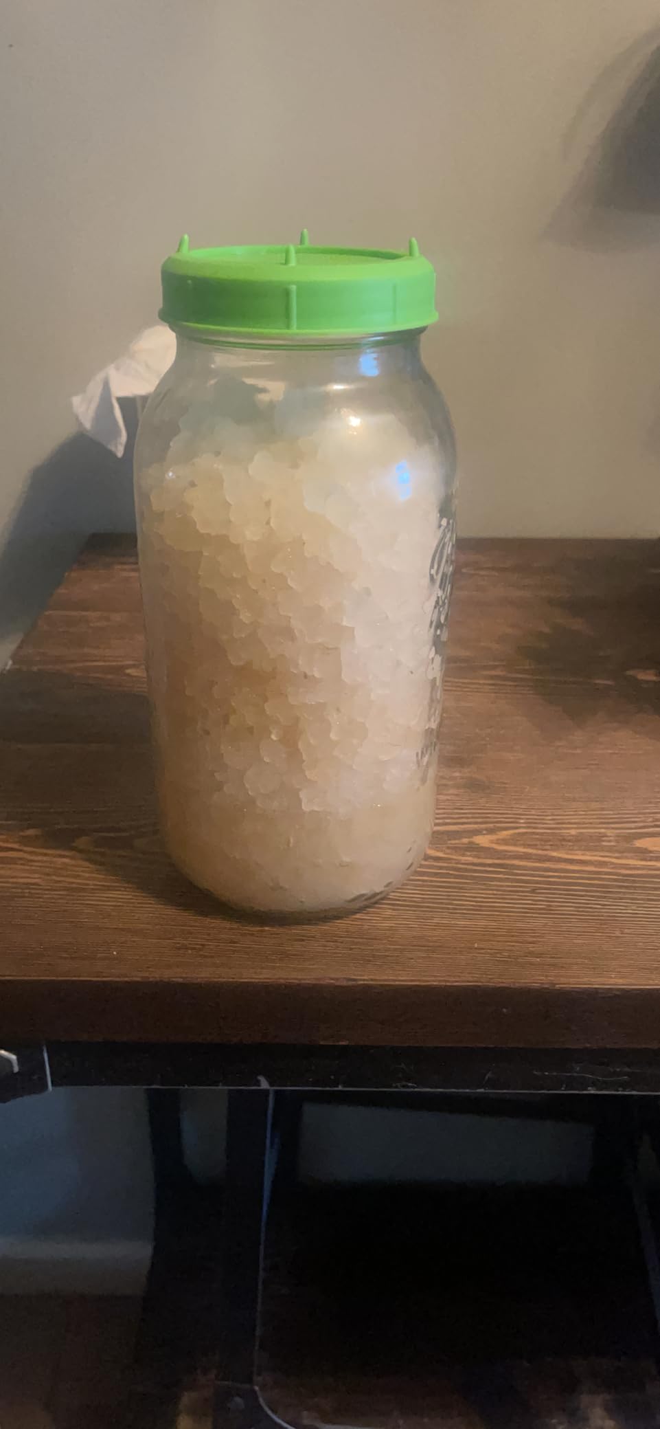 LIVE and ACTIVE Florida Sun Kefir Water Kefir Grains TIBICOS DIY Probiotics customer photo 2