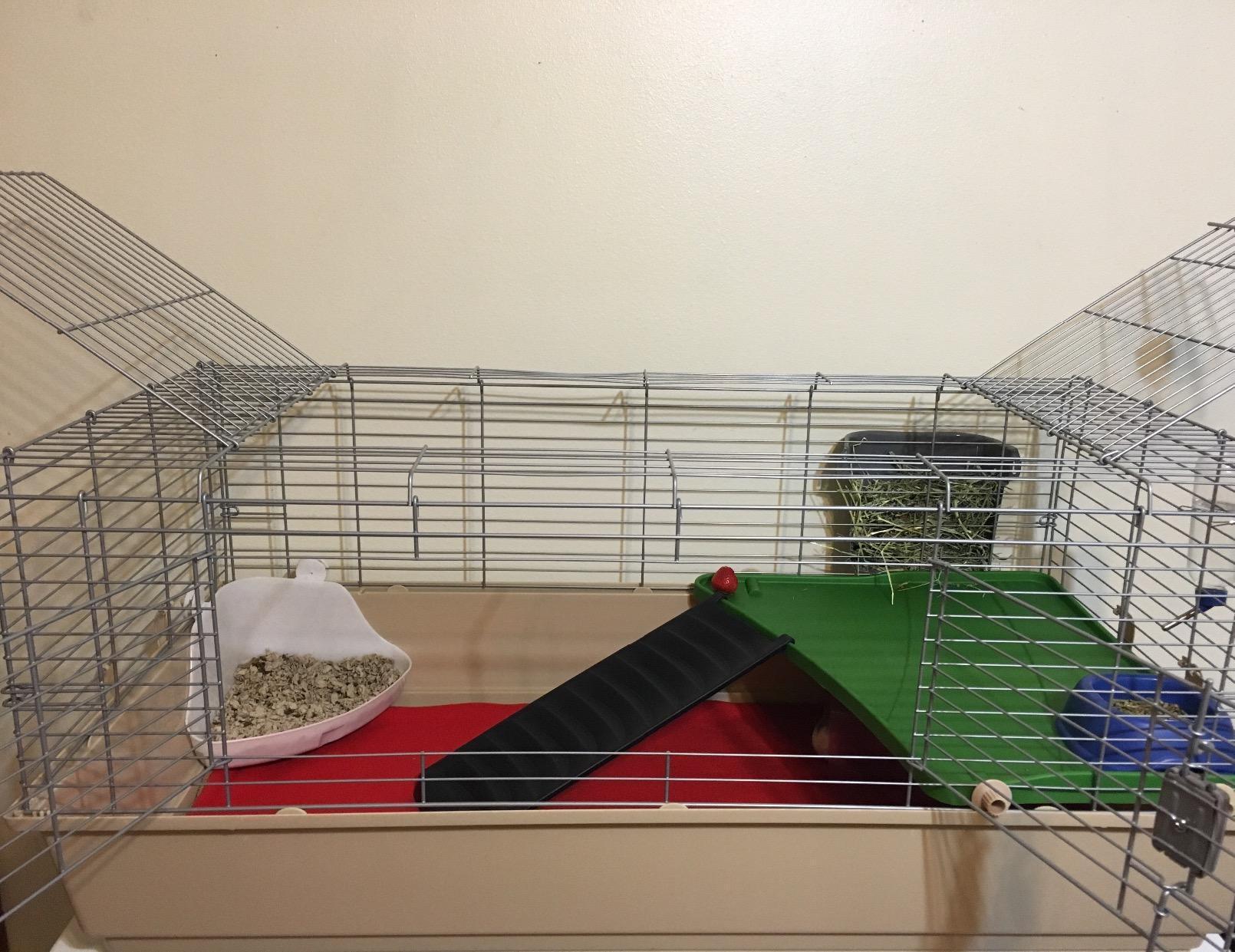 Amazon Basics Top Access Small Animal Habitat for Rabbit, Guinea Pig, Ferret & Chinchilla with Accessories, Jumbo, 48.6