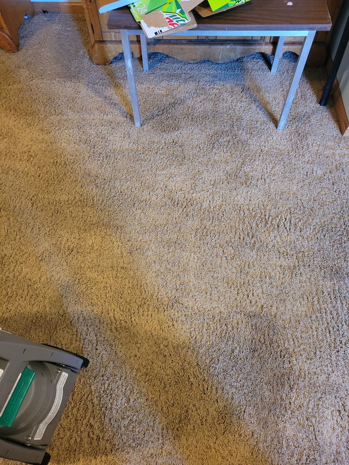 Bissell BigGreen Commercial BG10 Deep Cleaning 2 Motor Extracter Machine w/ Upholstery Tool, and 32 OZ Shampoo Bundle customer photo 2