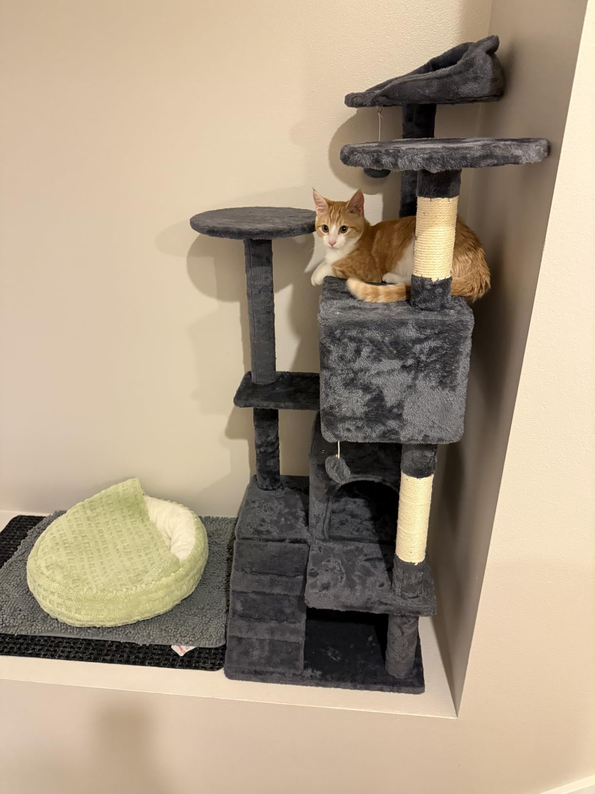 Yaheetech 54in Cat Tree Tower, 2 Caves, Kitten-Ear Perch & Scratching Posts | Multi-level layout, climbing ladder, easy assembly, high pet appeal, total load 66lbs for all indoor cats, dark gray customer photo 1