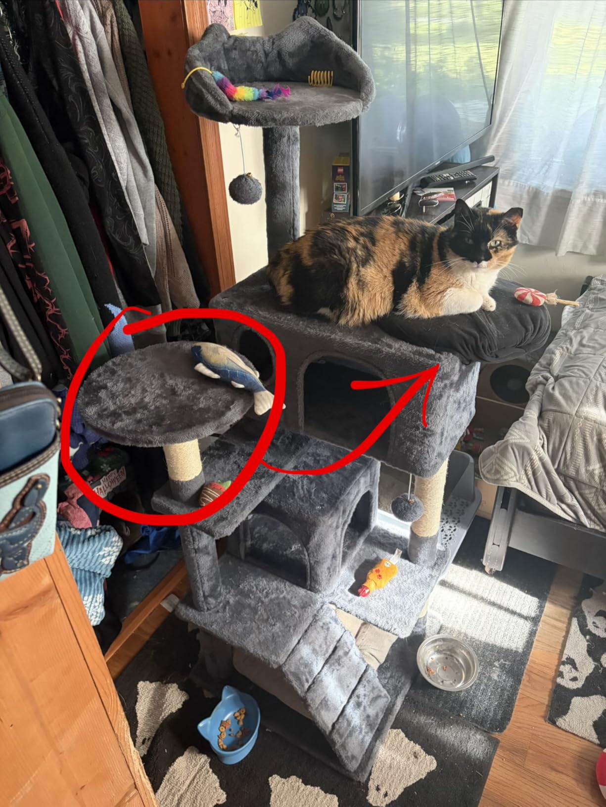 Yaheetech 54in Cat Tree Tower, 2 Caves, Kitten-Ear Perch & Scratching Posts | Multi-level layout, climbing ladder, easy assembly, high pet appeal, total load 66lbs for all indoor cats, dark gray customer photo 2