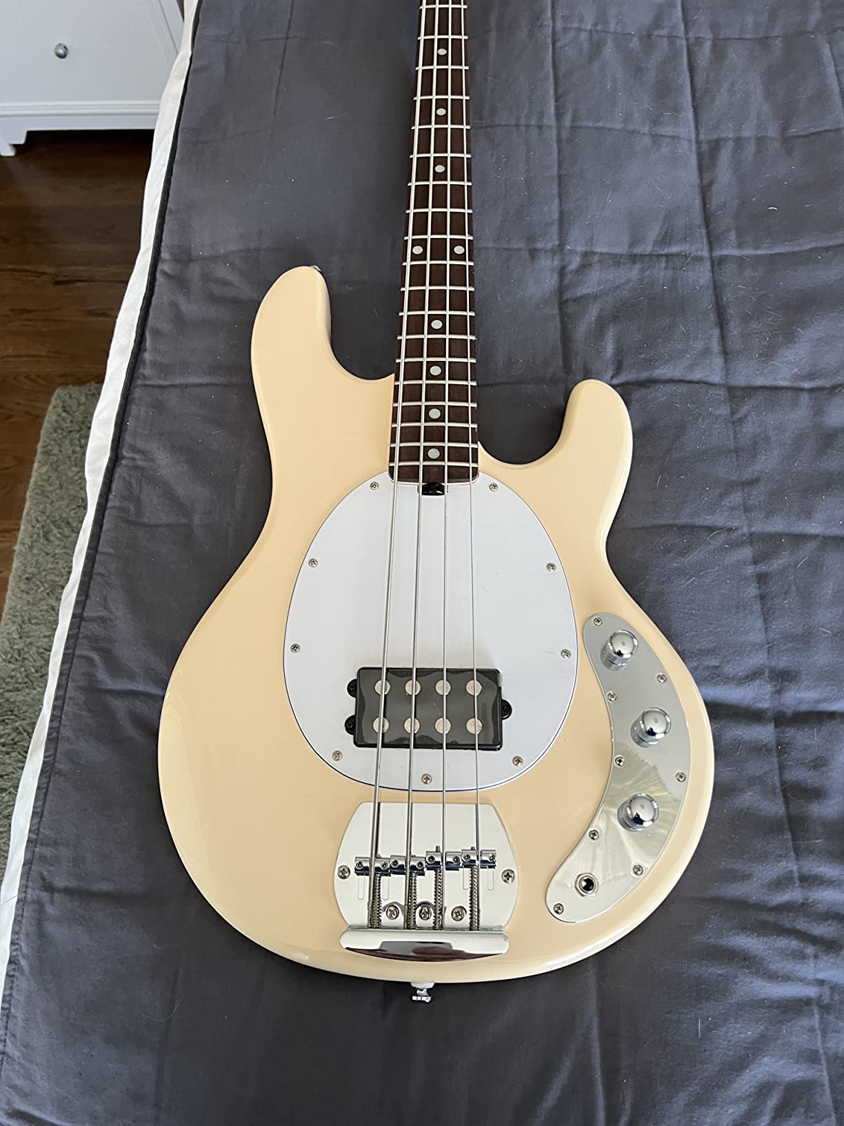 Sterling by Music Man StingRay Ray4 Bass Guitar in Walnut Satin customer photo 2