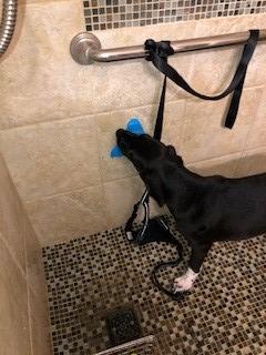 Aquapaw Dog Licking Mat - Suction Slow Feeder & Feeding Mat - Bath Toy Dispenser for Dog Bath Toys & Grooming Treats - Grooming Lick Pad for Peanut Butter Treat & Shower Snack Holder - Blue customer photo 2