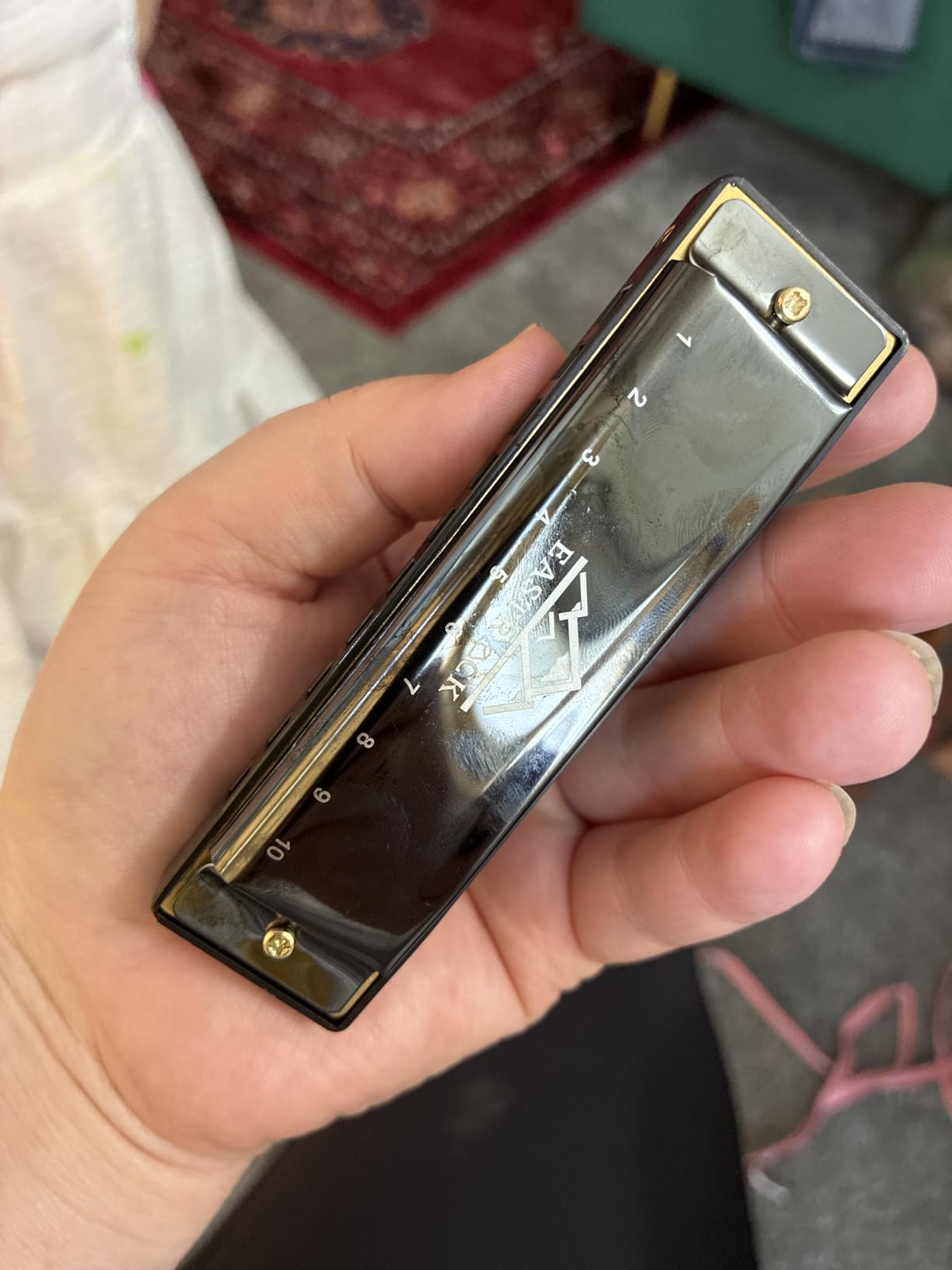 EastRock 10 Hole Blues Harmonica C Key Black with Case customer photo 1