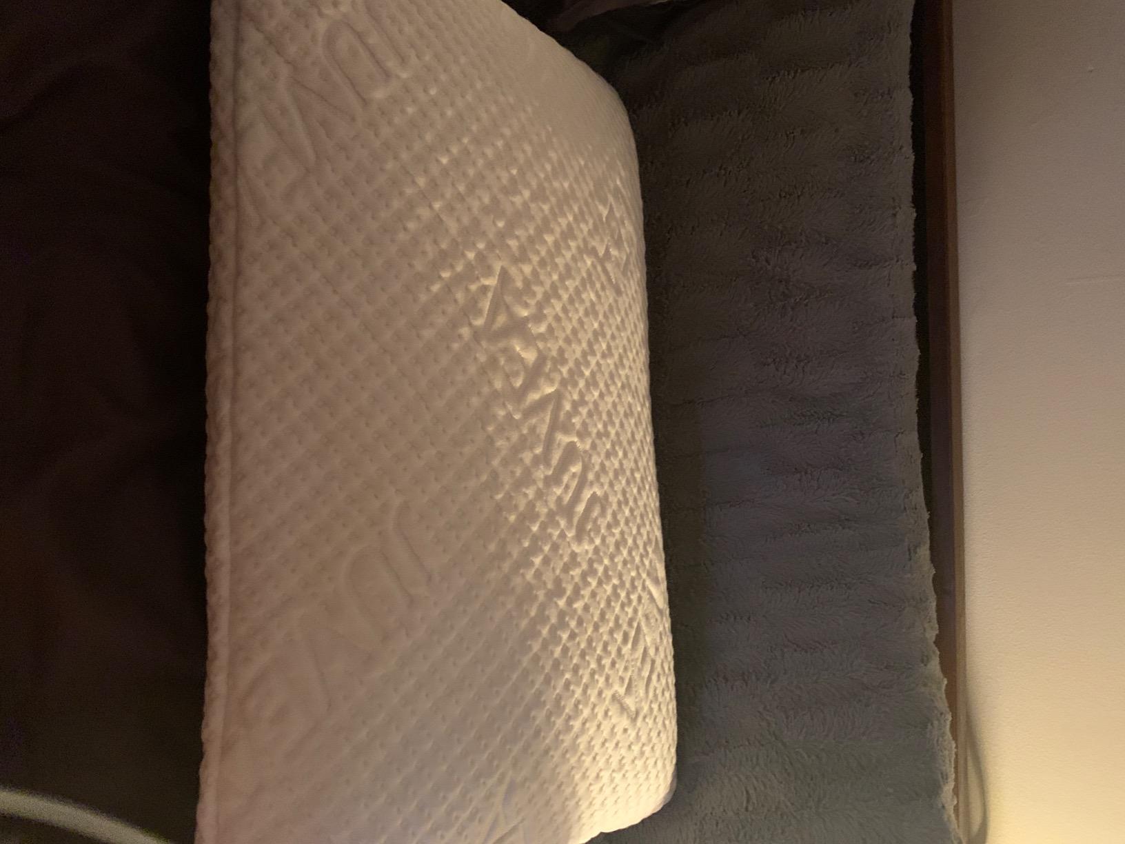 Elevate High-Profile Latex Pillow, Organic Cotton Cover | Natural Talalay latex maintains shape & buoyancy for side/hybrid sleepers - OEKO-TEX Class 1 baby-safe, vegan, made in USA customer photo 1