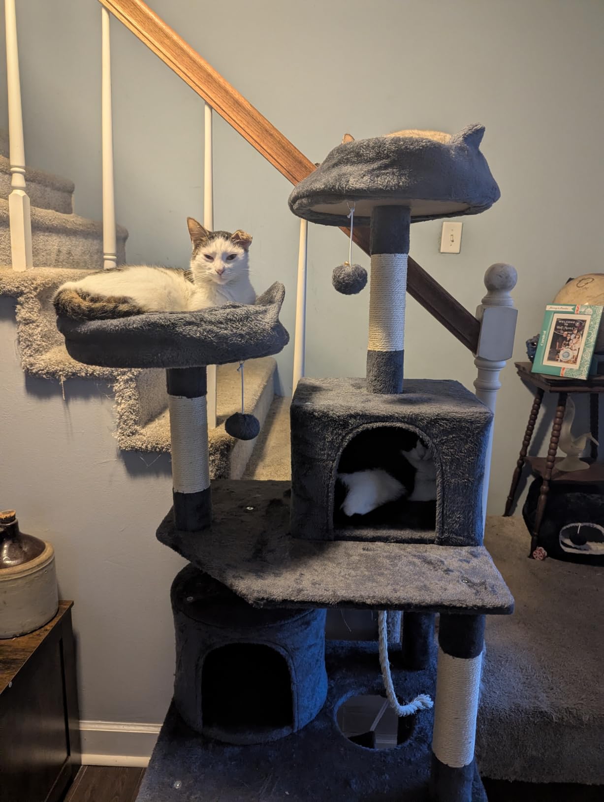 Yaheetech 62.5in Tall Cat Tree w/2 Cat-Ear Perches & 2 Condos, Dark Gray | Multi-level cat tower with scratching posts, hammock, sturdy 24 x 19in base and 88 lb capacity for medium & large indoor cats customer photo 2