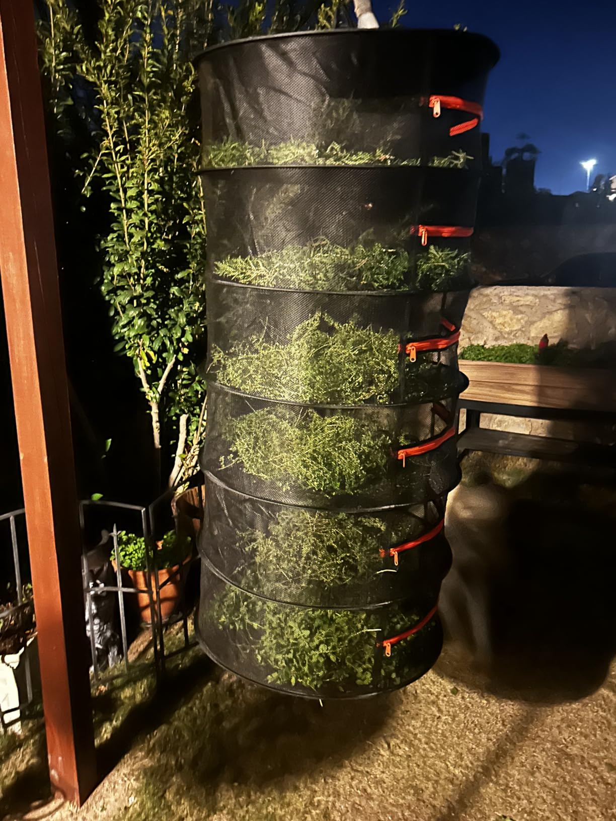 Herb Drying Rack-2ft Diameter 8 Layer Folding Mesh Hanging Basket Dryer Net with Zippers for Seeds Flowers Buds Plants Garden Outdoor Bumper Harvest(D24xH31 inch) customer photo 1
