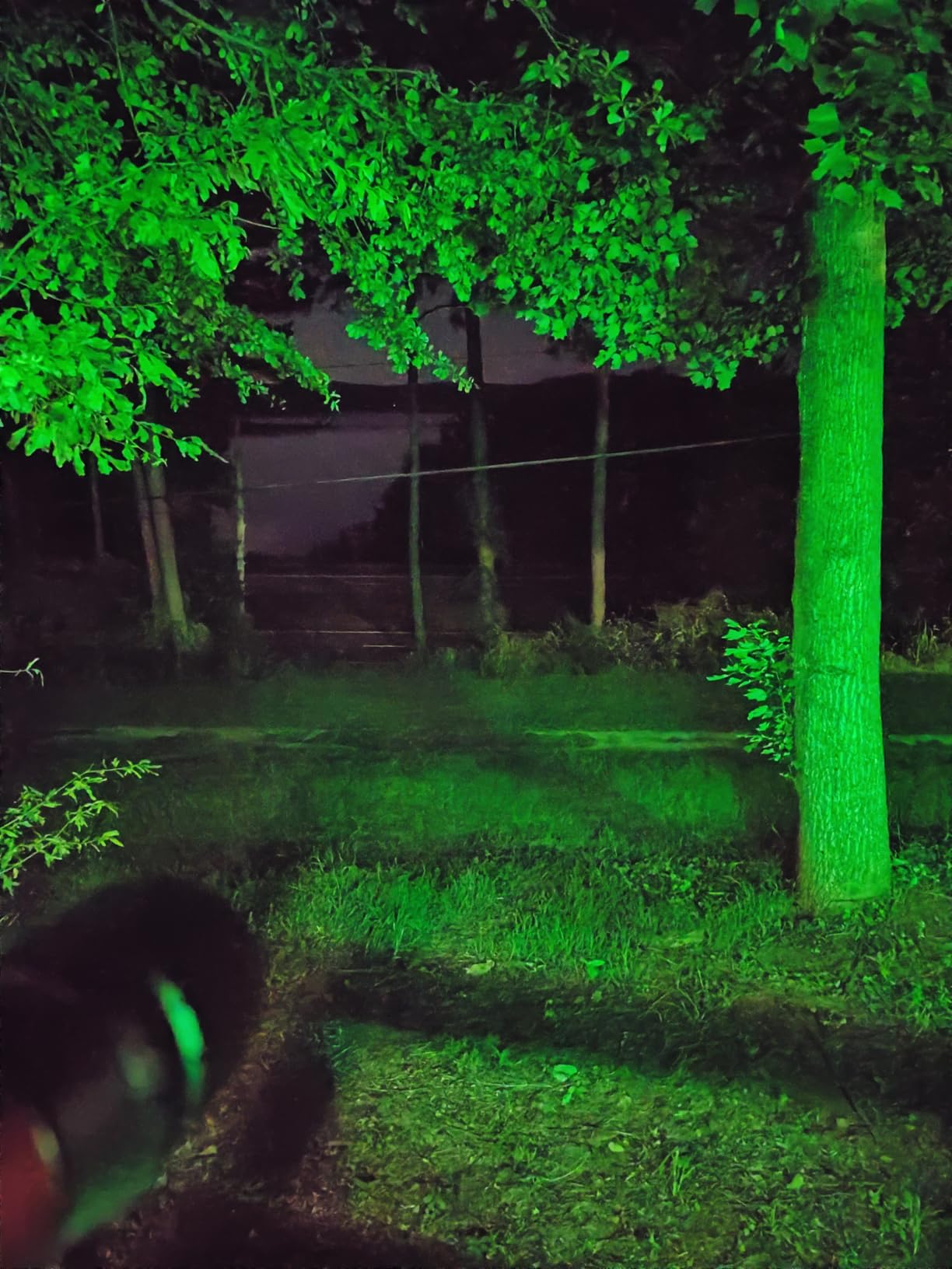 Bushnell 2000 Lumen Rechargeable Flashlight customer photo 2