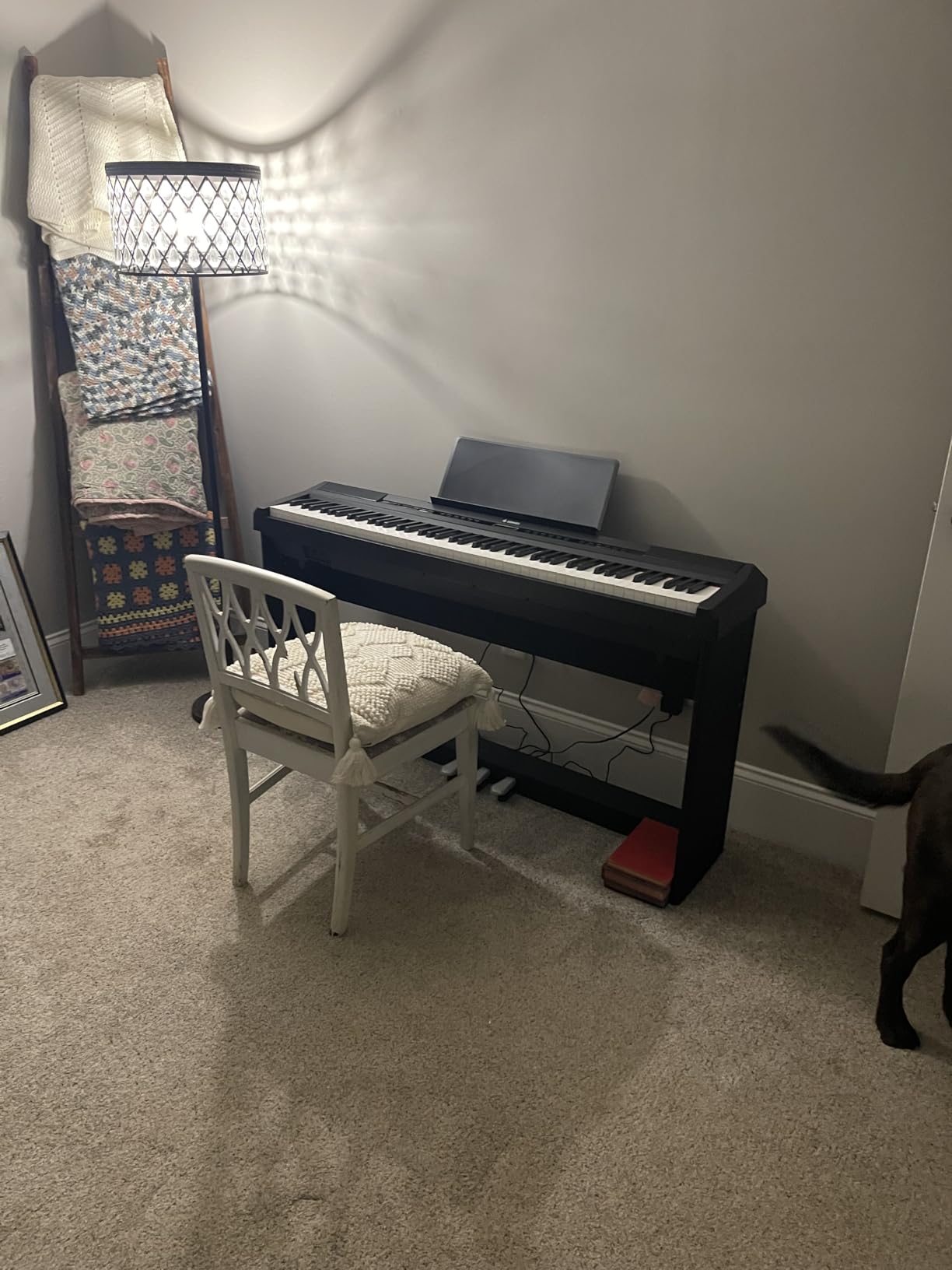Donner DEP-20 Beginner Digital Piano 88 Key Full Size Weighted Keyboard, Portable Electric Piano with Furniture Stand, 3-Pedal Unit customer photo 2