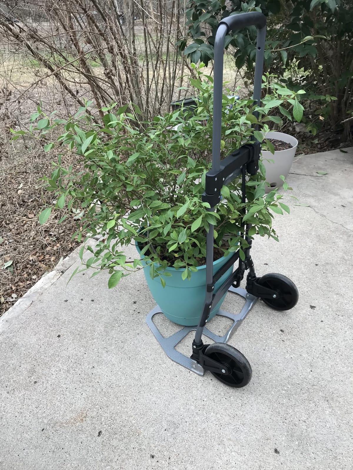 Leeyoung Folding Hand Truck and Dolly, 309 lb Capacity Aluminum Portable Cart with Telescoping Handle and PP+EVA Wheels customer photo 1