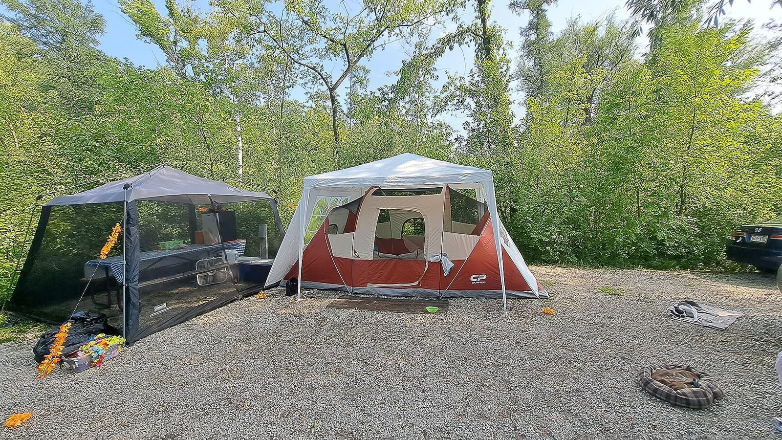 CAMPROS CP Camping Tent 10/12 Person Cabin Tent, 2 Room Water Resistant | Waterproof Tent with Top Rainfly, 3 Large Mesh Windows, Double Layer, Easy Set Up, Portable with Carry Bag customer photo 2