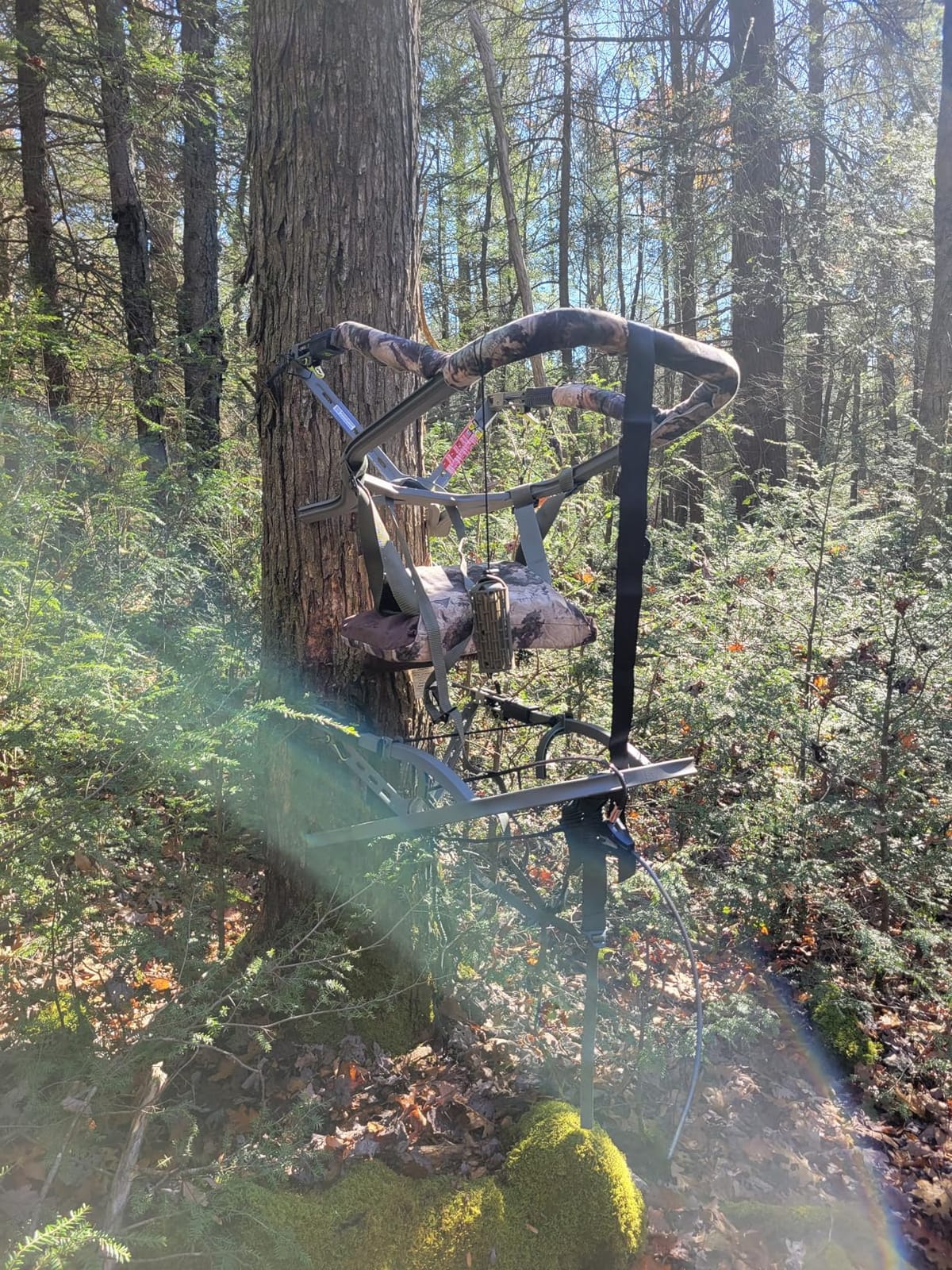 Summit Treestands Viper PRO SD Climbing Treestand customer photo 1