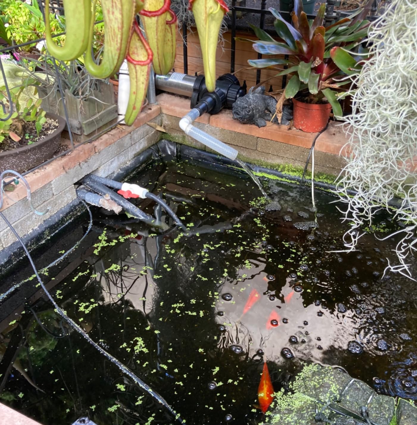 Jebao STU-36 Stainless Steel Pond and Aquarium Clarifier, 36-watt customer photo 1