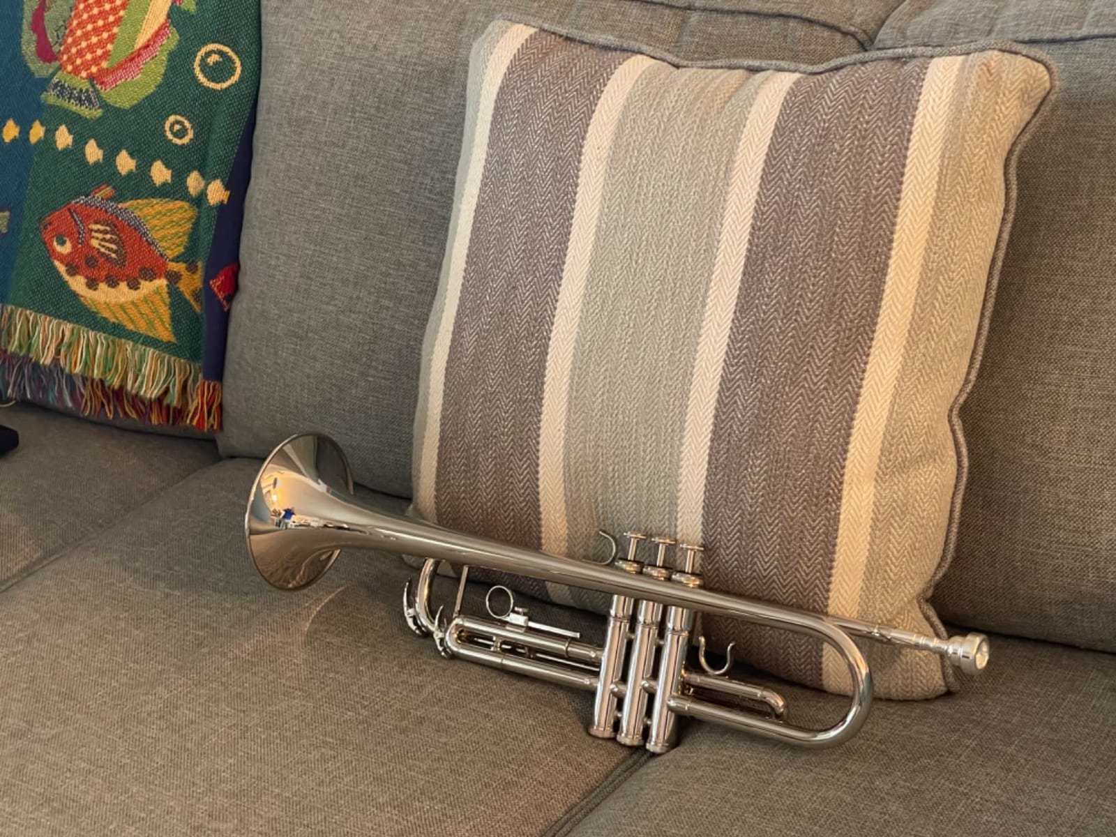 Student Bb Trumpet, Silver Finish Brass for School Band Orchestra Beginners | 7C Mouthpiece, Stainless Steel Valves, Adjustable 3rd Valve Ring, Hard Case, Cleaning Kit, White Gloves customer photo 1